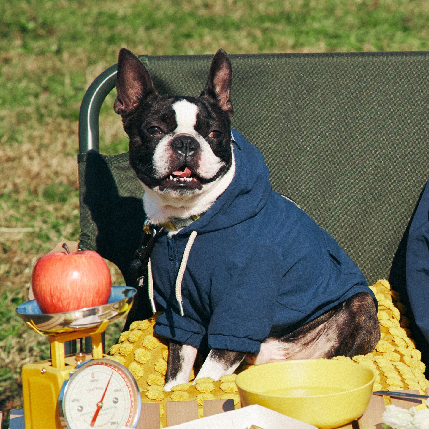 Dog & Owner Anorak Hoodie Pair-Look Set