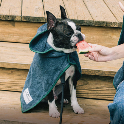 【本日20:00発売】Hooded Microfiber Towel