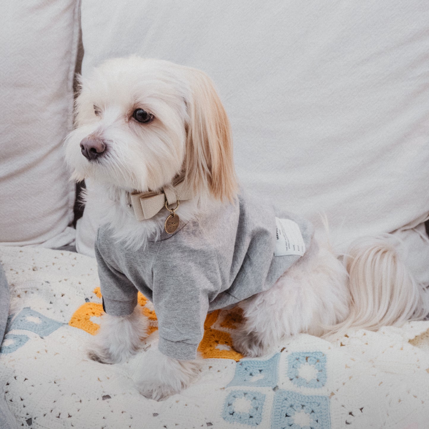 Dog Long-sleeve T-shirt