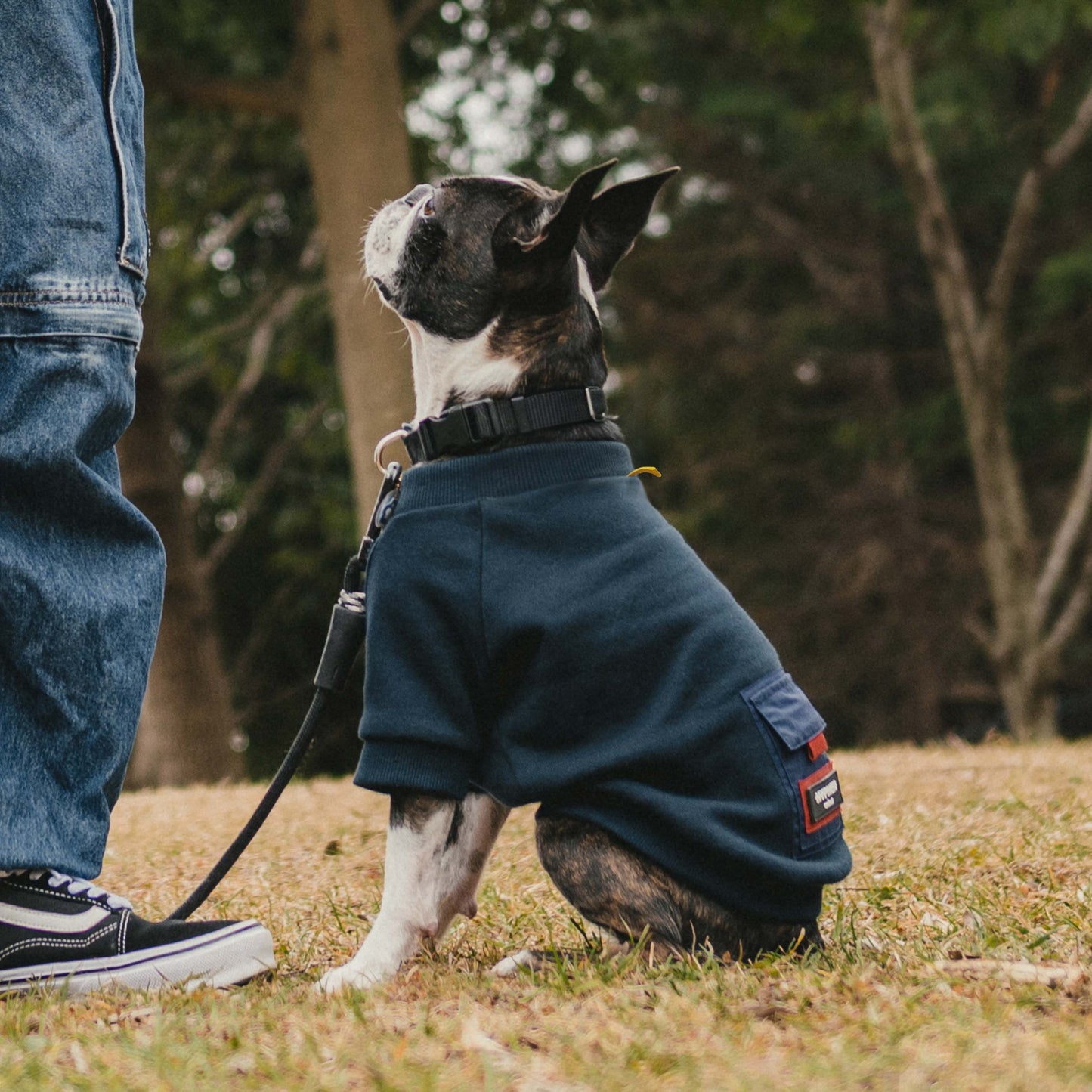 Dog Pocket Sweatshirt