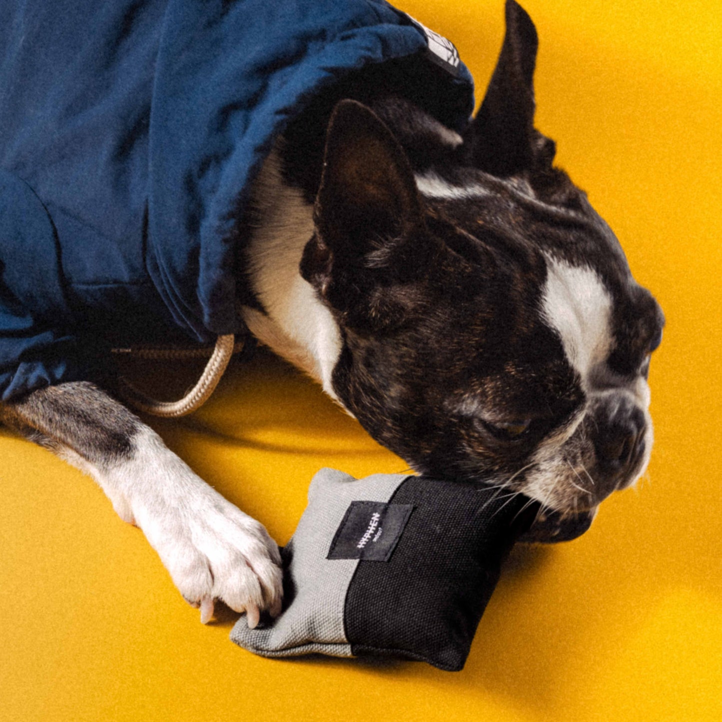 Dog Key Toy / Nylon Key Pouch