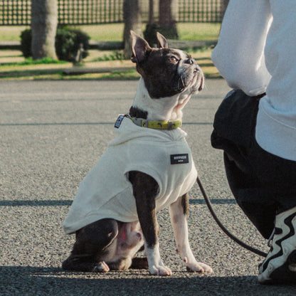 Dog Travel Tag Hoodie